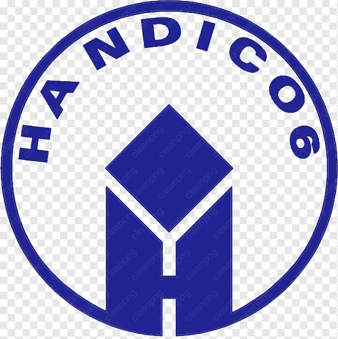 Chủ đầu tư Diamond Light Thái Bình: Uy tín từ HANDICO 6